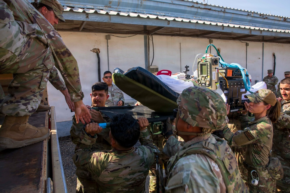 Pale Serpent - Mass Casualty Exercise