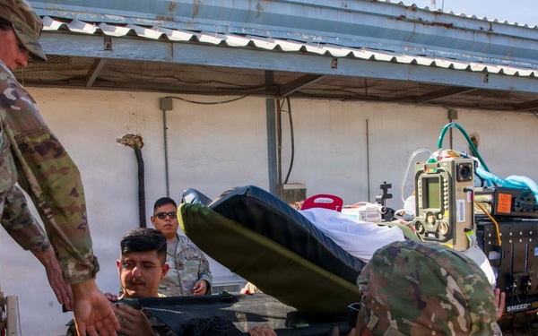 Pale Serpent - Mass Casualty Exercise