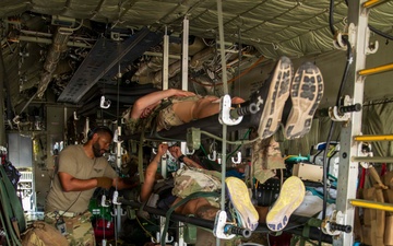 Pale Serpent - Mass Casualty Exercise