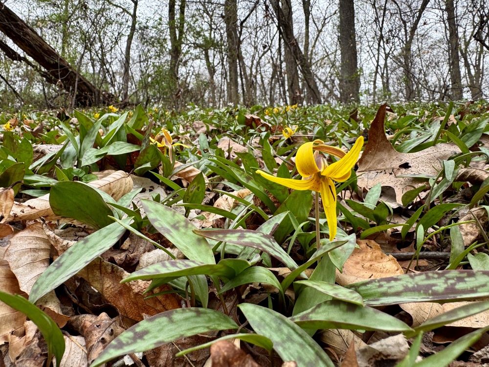 2025 Northern Area Photo Contest