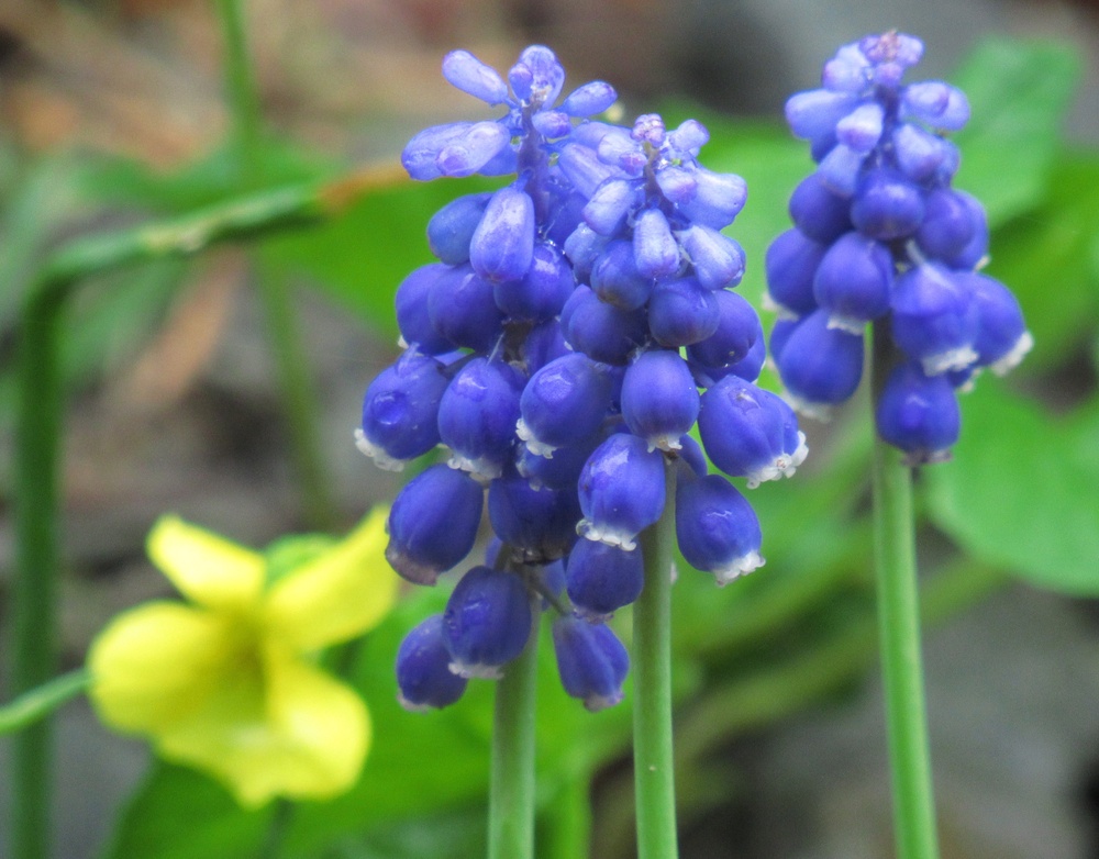 2025 Northern Area Photo Contest