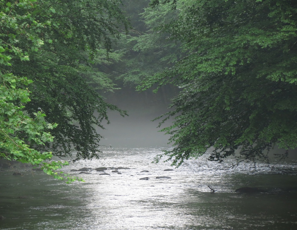 2025 Northern Area Photo Contest