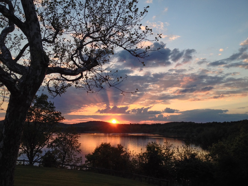 2025 Northern Area Photo Contest