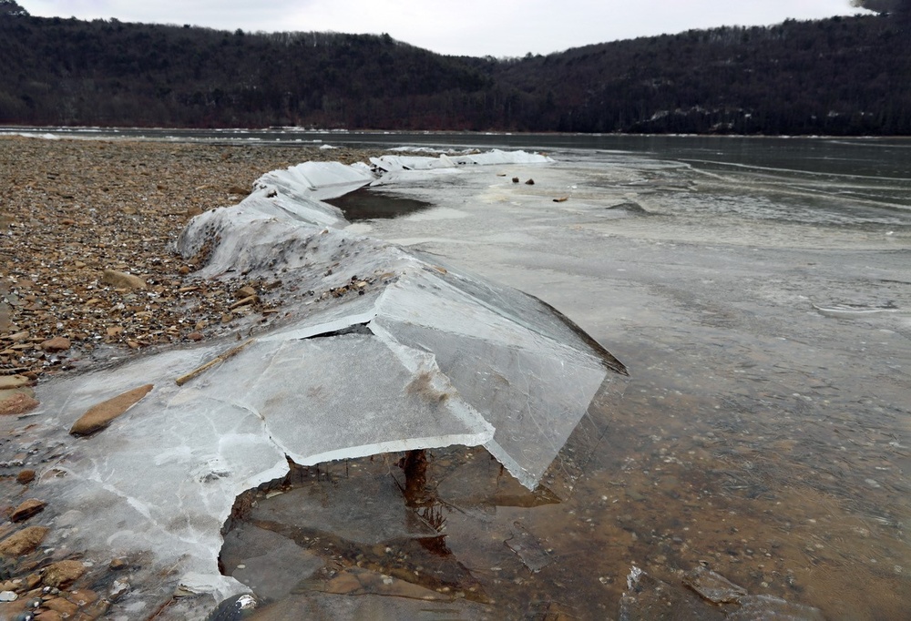 2025 Northern Area Photo Contest