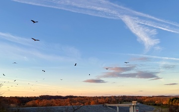 2025 Northern Area Photo Contest