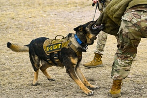 Red Cross Animal Visitation Program PROMO