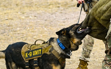 90 MW and CAS Partnership Revitalizes Dog Park