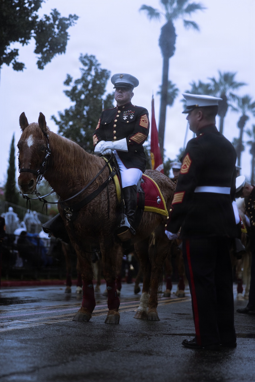 West Coast Composite Band performs at the 2025 Rose Parade
