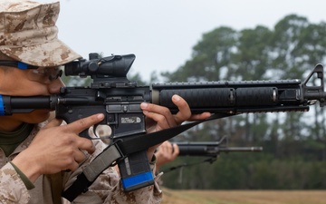 Alpha Company Table One