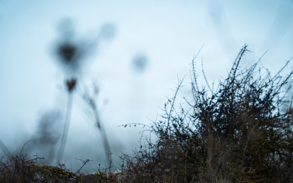 ISTC Urban Sniper 2025