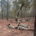 2025 12 09 2nd Battalion 29th Infantry Regiment Field Training Exercise