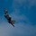 F-22 Raptor Aerial Demonstration Team performs at Air Show London Skydrive 2025 F-22 Raptor Aerial Demonstration Team performs at Air Show London Skydrive 2025