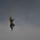 F-22 Raptor Aerial Demonstration Team performs at Air Show London Skydrive 2025 F-22 Raptor Aerial Demonstration Team performs at Air Show London Skydrive 2025