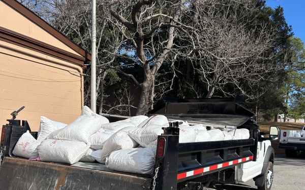 Floating Acorns on the Flint: A Collaboration for White Oak Reforestation in Georgia
