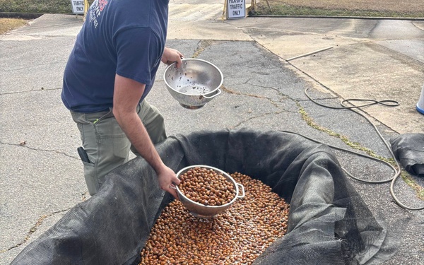 Floating Acorns on the Flint: A Collaboration for White Oak Reforestation in Georgia