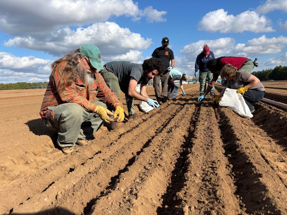 Floating Acorns on the Flint: A Collaboration for White Oak Reforestation in Georgia