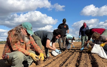 Floating Acorns on the Flint: A Collaboration for White Oak Reforestation in Georgia
