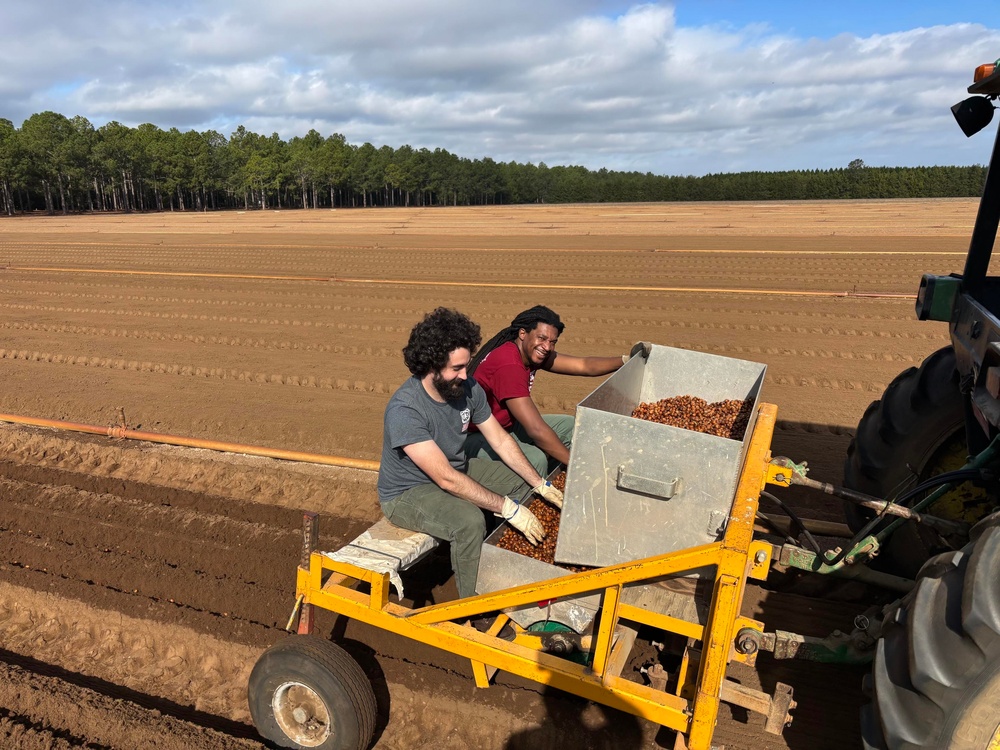 Floating Acorns on the Flint: A Collaboration for White Oak Reforestation in Georgia