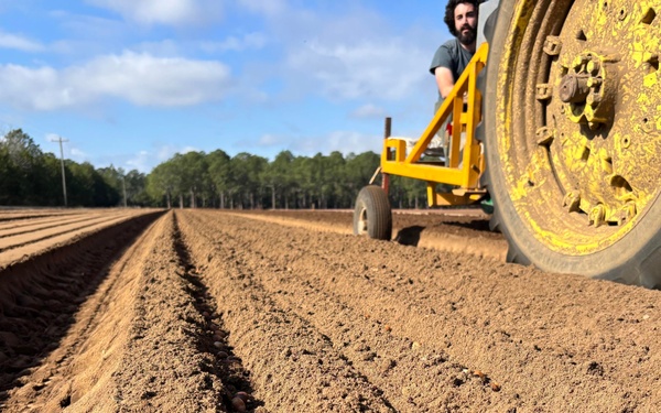 Floating Acorns on the Flint: A Collaboration for White Oak Reforestation in Georgia