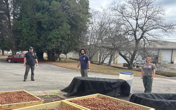 Floating Acorns on the Flint: A Collaboration for White Oak Reforestation in Georgia