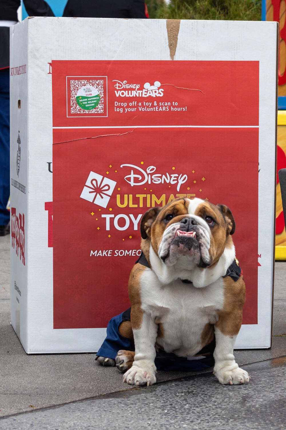 Marine Band San Diego Toys for Tots Disneyland