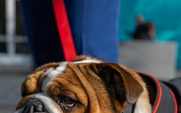 Marine Band San Diego Toys for Tots Disneyland