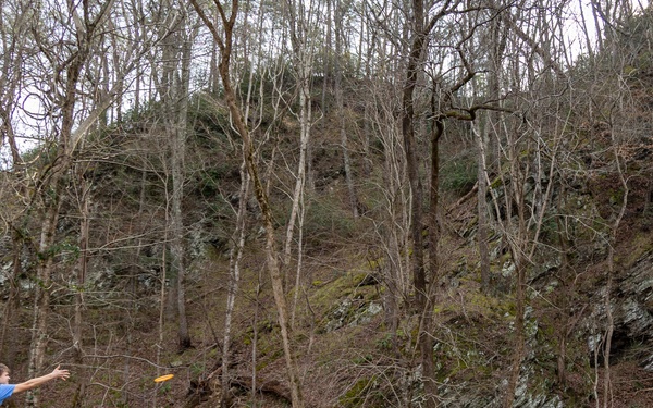 Riverside Day Use Park Recreation at Allatoona Lake