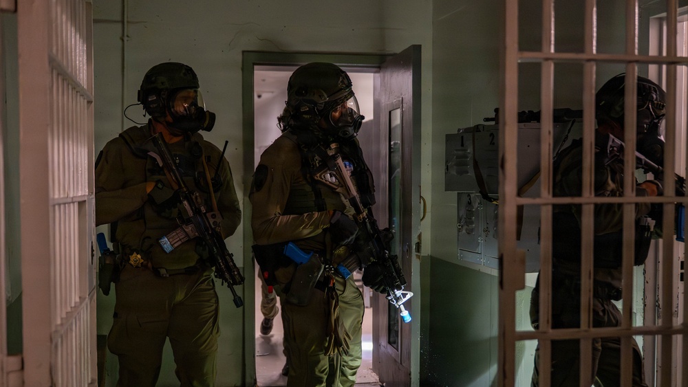 Exercise Sourdough 2025 strengthens readiness through joint urban evasion training