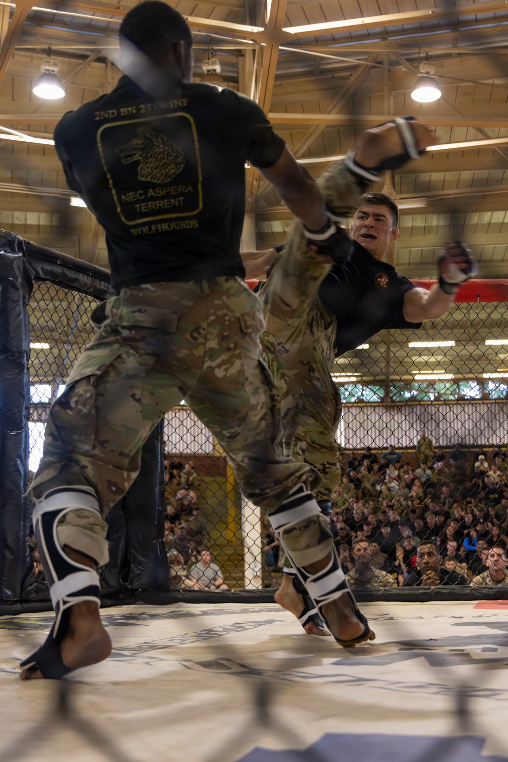 Forging Excellence: Soldiers Embrace Competitive Spirit During Tropic Lightning Week at Schofield Barracks