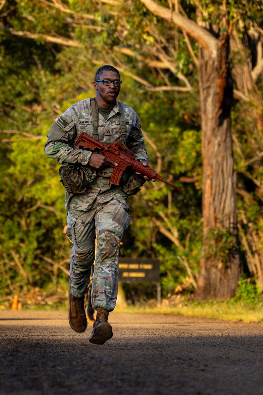 Forging Excellence: Soldiers Embrace Competitive Spirit During Tropic Lightning Week at Schofield Barracks