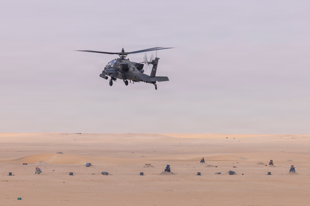 Task Force Shikra (3-4 AHB) participates in Exercise Sky Shield 2025