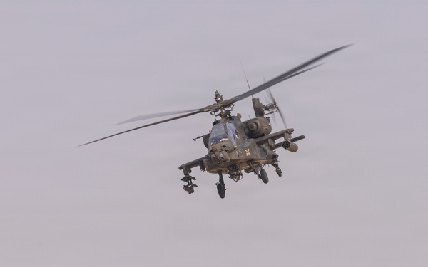 Task Force Shikra (3-4 AHB) participates in Exercise Sky Shield 2025