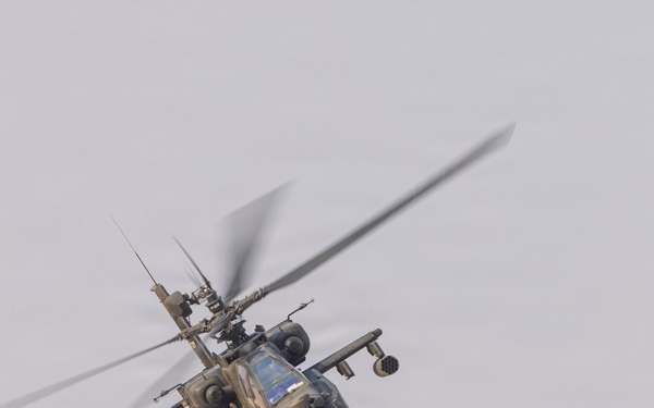 Task Force Shikra (3-4 AHB) participates in Exercise Sky Shield 2025