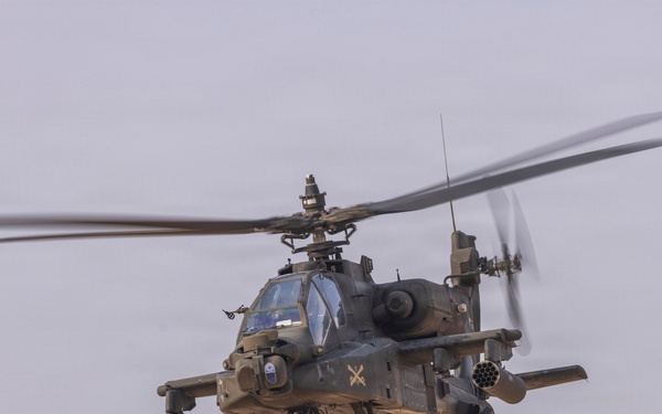 Task Force Shikra (3-4 AHB) participates in Exercise Sky Shield 2025