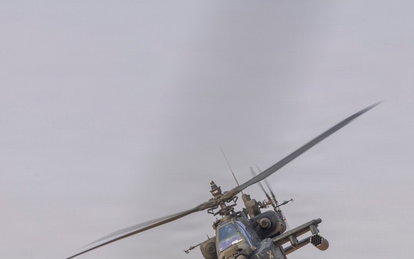 Task Force Shikra (3-4 AHB) participates in Exercise Sky Shield 2025