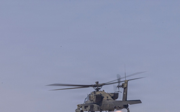 Task Force Shikra (3-4 AHB) participates in Exercise Sky Shield 2025