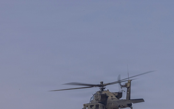 Task Force Shikra (3-4 AHB) participates in Exercise Sky Shield 2025