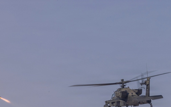 Task Force Shikra (3-4 AHB) participates in Exercise Sky Shield 2025