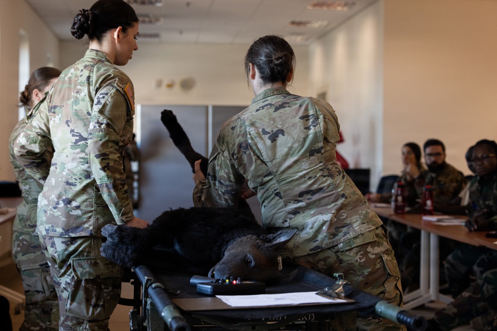 DVIDS - Images - SETAF-AF prepares for U.S. Army Best Medic Competition ...