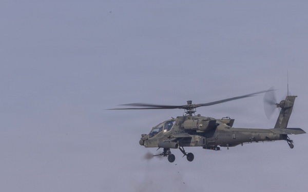 Task Force Shikra (3-4 AHB) participates in Exercise Sky Shield 2025