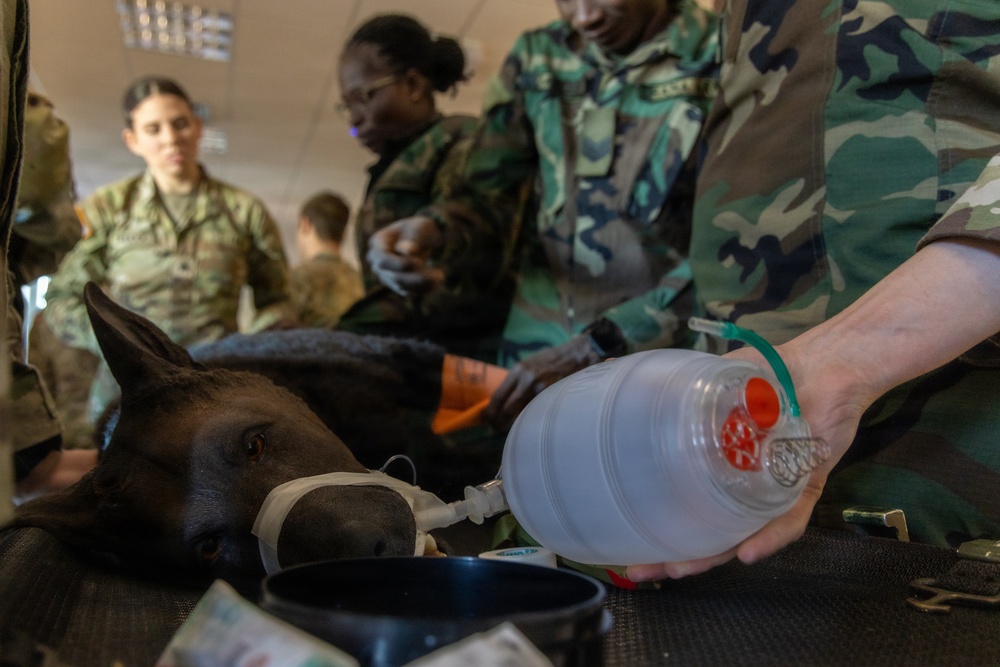 DVIDS - Images - SETAF-AF prepares for U.S. Army Best Medic Competition ...