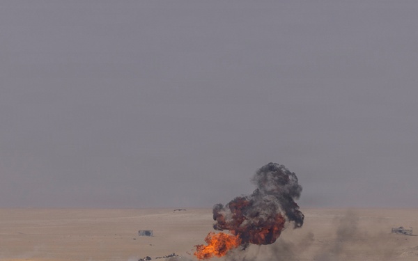 Task Force Shikra (3-4 AHB) participates in Exercise Sky Shield 2025