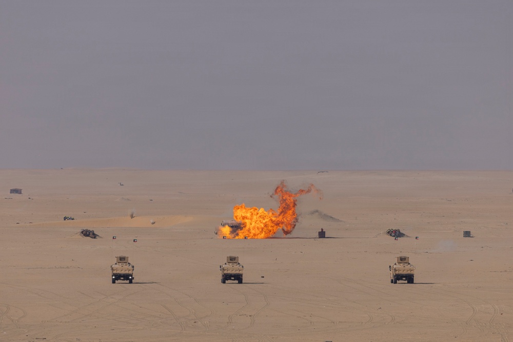 Task Force Shikra (3-4 AHB) participates in Exercise Sky Shield 2025