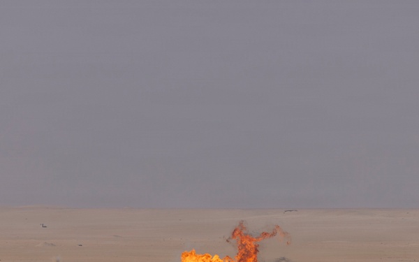 Task Force Shikra (3-4 AHB) participates in Exercise Sky Shield 2025