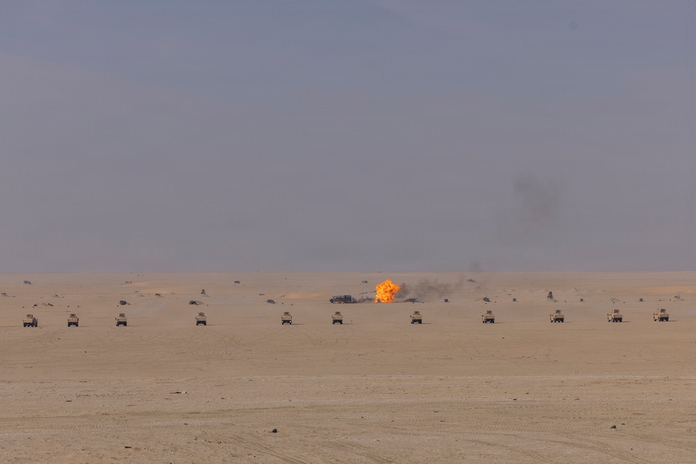 Task Force Shikra (3-4 AHB) participates in Exercise Sky Shield 2025