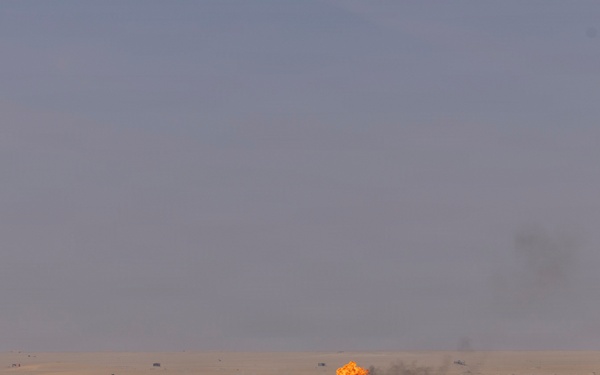 Task Force Shikra (3-4 AHB) participates in Exercise Sky Shield 2025