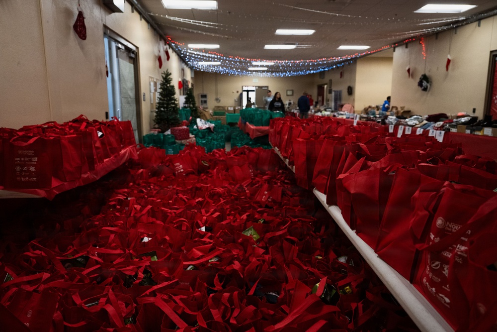 Blue Star Families spreads holiday cheer amongst MacDill