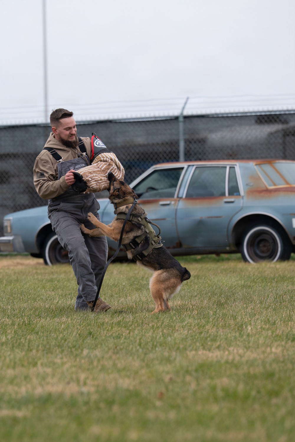 Dover AFB K-9 Unit Demo