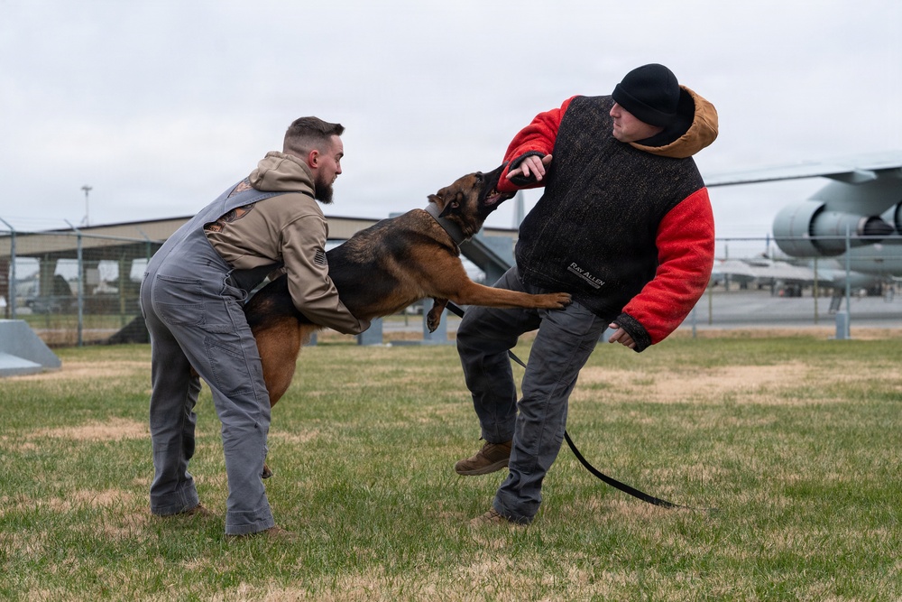Dover AFB K-9 Unit Demo
