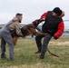 Dover AFB K-9 Unit Demo